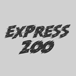 Express 200 Scratch