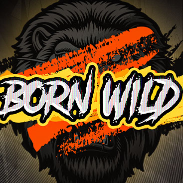 Born Wild 96%