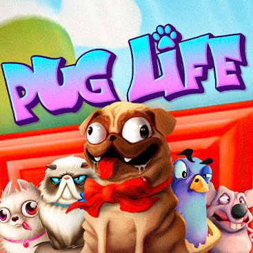 Pug Life 96%